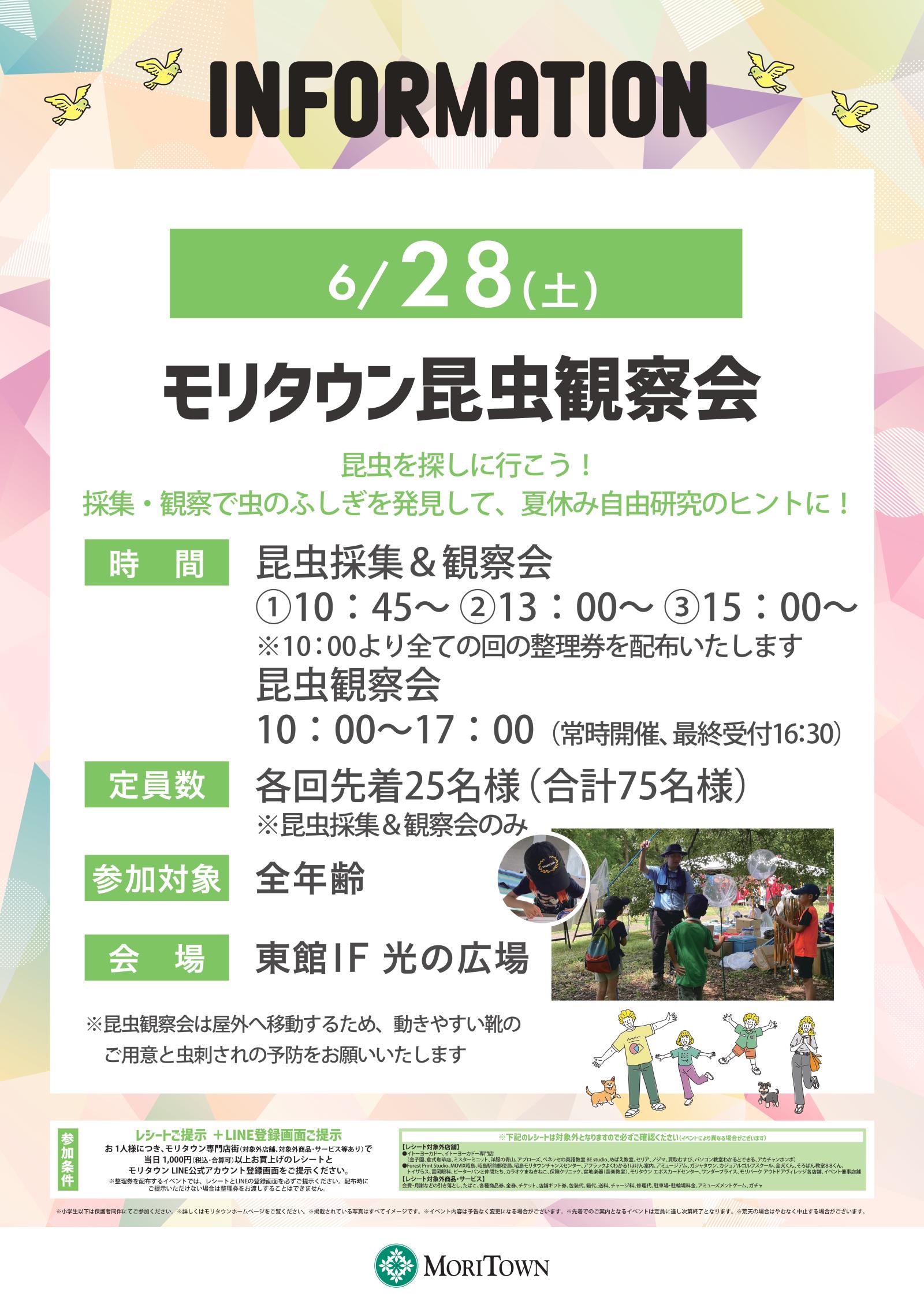モリタウン昆虫観察会
