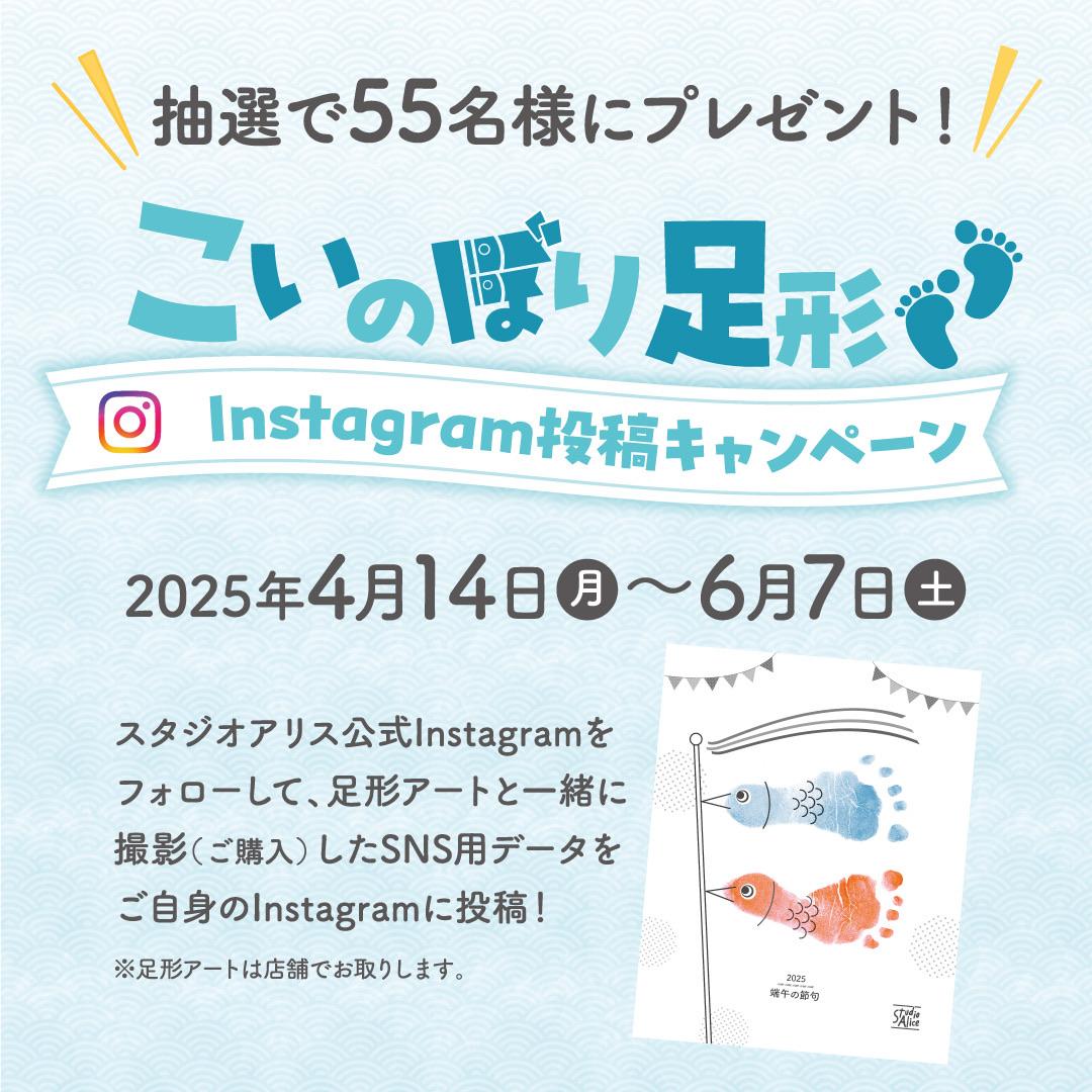 ＼期間限定／こいのぼりパックで可愛くお祝いしよう