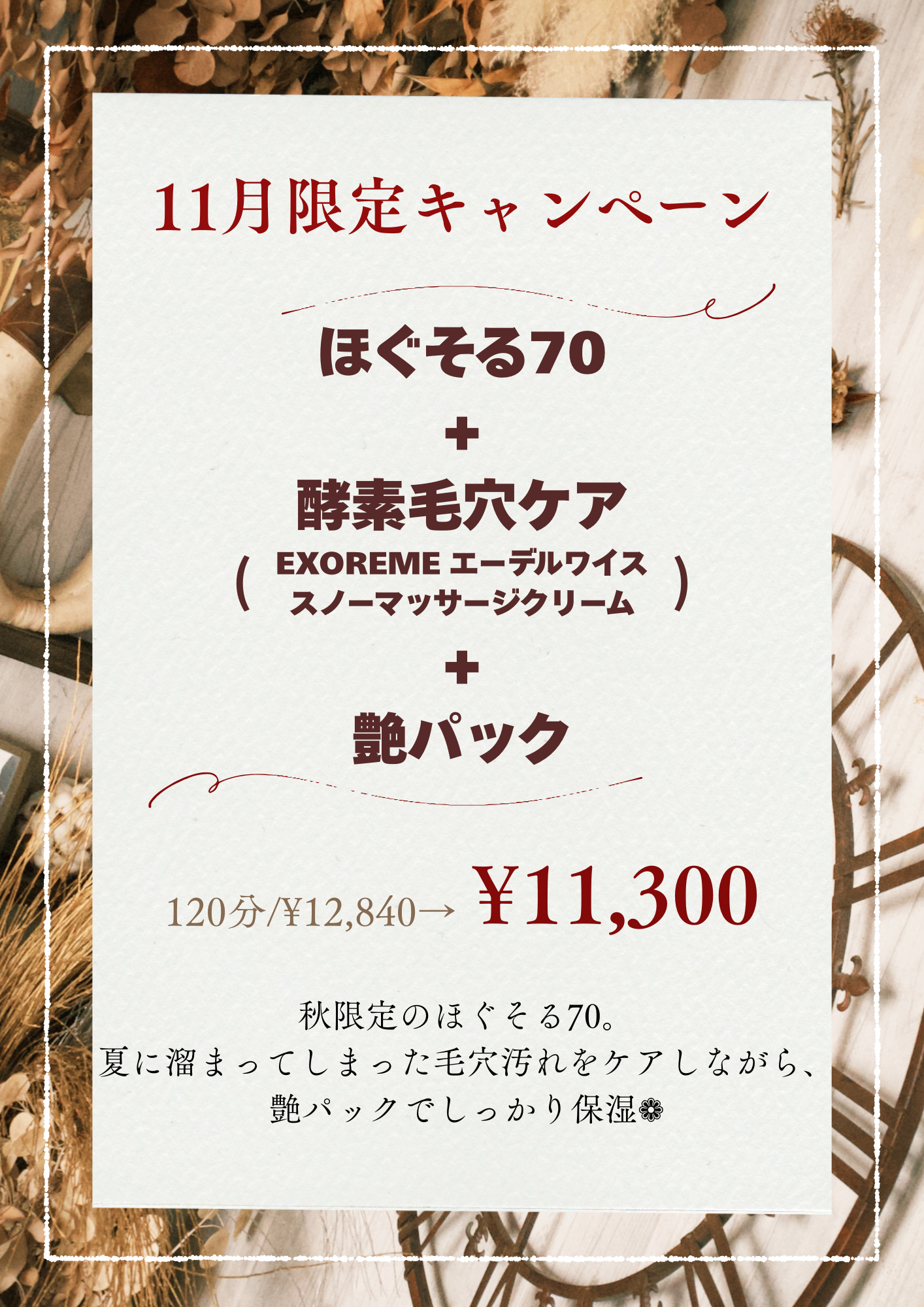 ≪11月キャンペーン変更のお知らせ≫