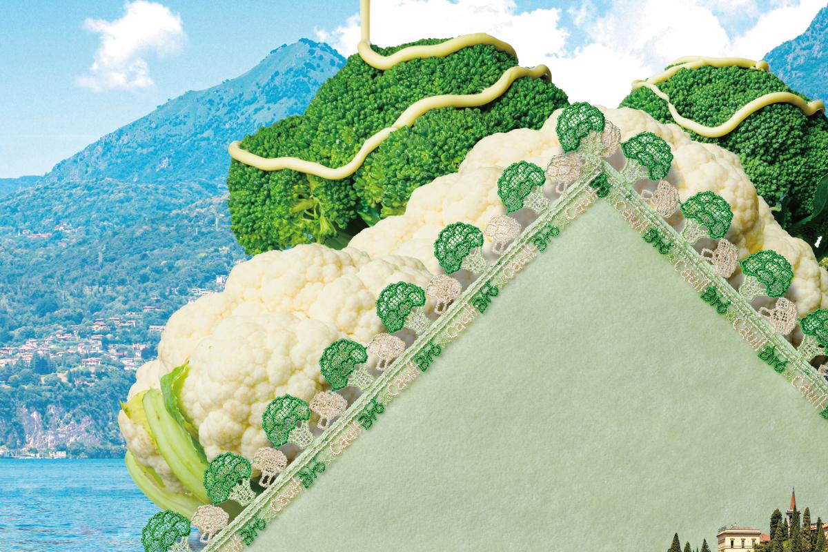 近沢レース【新作紹介】